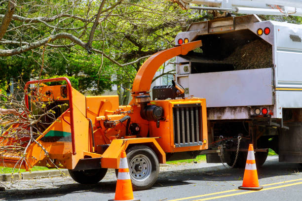 Best Emergency Tree Removal  in Vandalia, OH